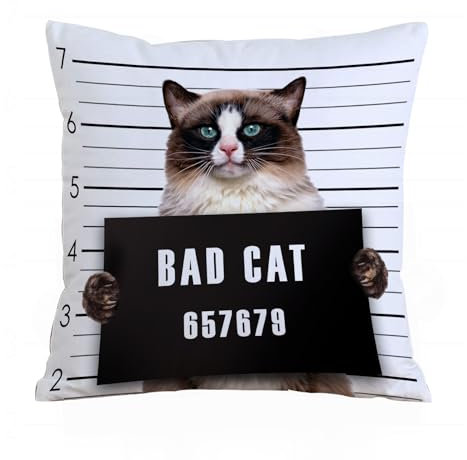 AELKSP Kissenbezug Kissenhülle Haus Dekorativ Für Jungen/Mädchen Wohnzimmer Schlafzimmer Sofa Stuhl Kissenbezüge,Die mürrische Katze hält in ihren Pfoten EIN Schild mit der Aufschrift. Mürri,40x40 cm