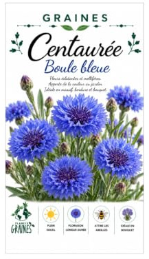 50 graines de centaurée des champs (bleuet) 'blue ball' - fleur sauvage bleu azur classique - annuelle et mellifère pour bouquets
