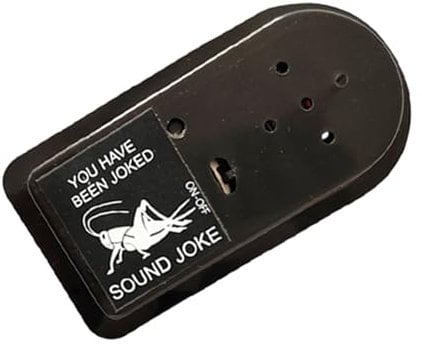 ABS Chirp Prank Device - Beeping Noise Generator, Joke Gadget, Hidden Sound Machine | Long Lasting Office Trick, Funny Halloween Noise Toy For Home, Car, Kids, 8.3x4.3x1.9cm