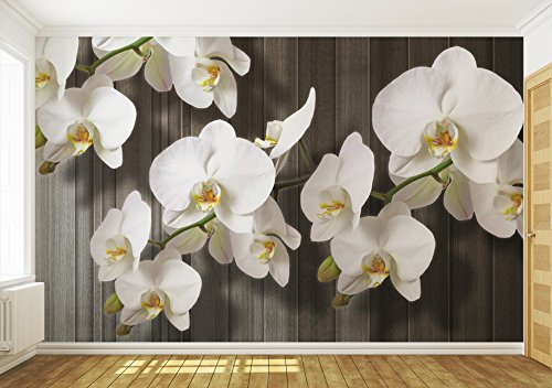 Vlies Fototapete Tapete Vliestapete ForWall Orchideen Blumen AF1015VE XXXL (416cm x 254cm) Photo Wallpaper Mural