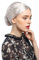 WIG ME UP - 2405-PC309 Perücke Damen Karneval Fasching Oma Großmutter Ballerina Gouvernante Grau Silbergrau Dutt