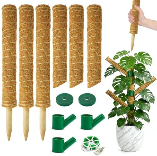 6 Stück Moosstab Monstera(40, 23CM) - Verlaengerung Monstera Rankhilfe | für Pflanzen Pflanzenstütze Rankhilfe Pflanzstab Kokosstab mit Lange Pflanzenbinder für Kletterpflanzen pflanzstab