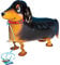 Kopper-24 Airwalker Ballon Dackel Hund - laufendender Hunde Luftballon Tier Helium Walking Folienballon Deko für Kinder Geburtstag Party Hochzeit Kinder Geschenk JGA Dekoration Tierballons Laufen