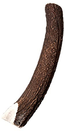 Wildes Land Halbe Knochen, Hirsch, Größe XL