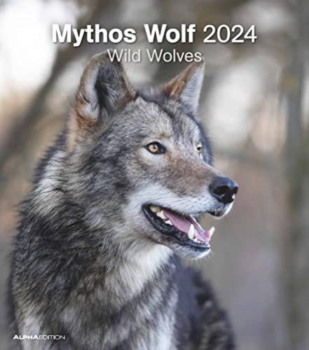 Mythos Wolf 2024 - Foto-Kalender - Wand-Kalender - 30x34: Wild Wolves