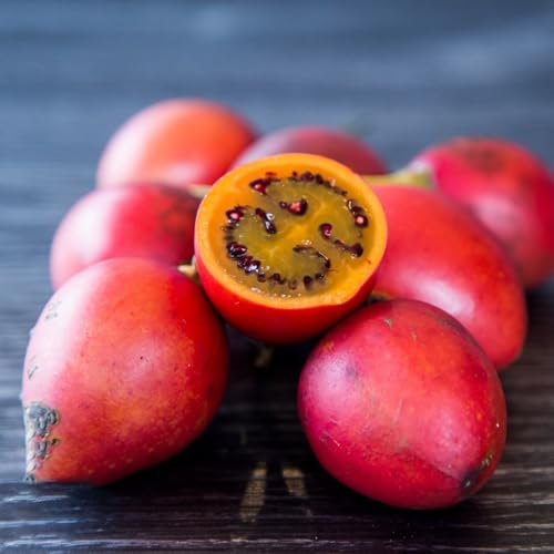 100 piezas semillas de tomate de árbol de tamarillo, Semillas de hortalizas para balcón, plantas para jardín. hierbas medicinales, semillas raras Semillas de hortalizas de invierno,
