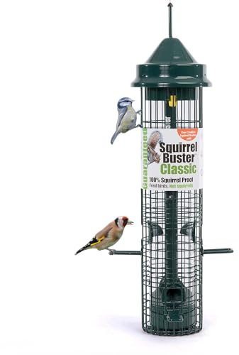 Squirrel-proof Bird Feeder for Seeds and Mixes - Jacobi Jayne® Squirrel Buster® Classic – Pigeon Proof Metal Bird Seed Feeder for Wild Birds – Easy Clean Hanging Seed Bird Feeder for Garden Birds