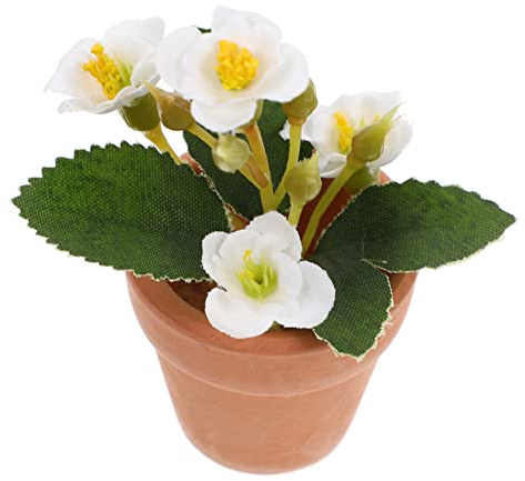 TOYANDONA House Decor Miniature Pots for Indoor Plants Mini Bonsai Trees Mini Potting Decoration