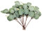 Plantas Artificiales, Ramas de Plantas Eucalipto Artificiales, Hojas de Flores Artificiales, Plantas Hiedra Plástico Decorativas para Interior, Jardín, Dormitorio, Jarrón, Decoración - 12 Paquetes