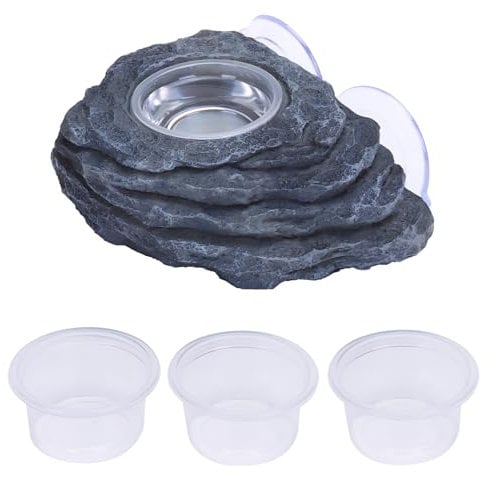 DERNORD Suction Cup Feeding Ledge - Reptiles Single Feeder Bowl Dish with 4 Feeding Cups for Food and Water Ideal for Crested Geckos Chameleons Lizards