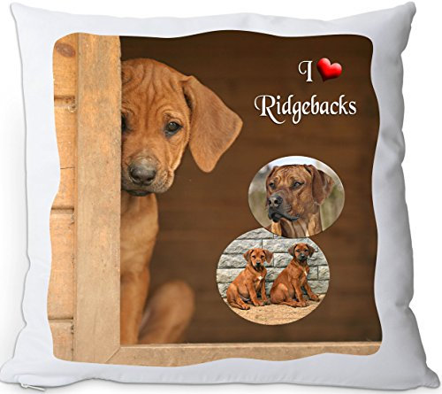 Nanyuk +++ Rhodesian Ridgeback - Kuschelkissen/Kissen | Pillow/Kussen - RRB 03