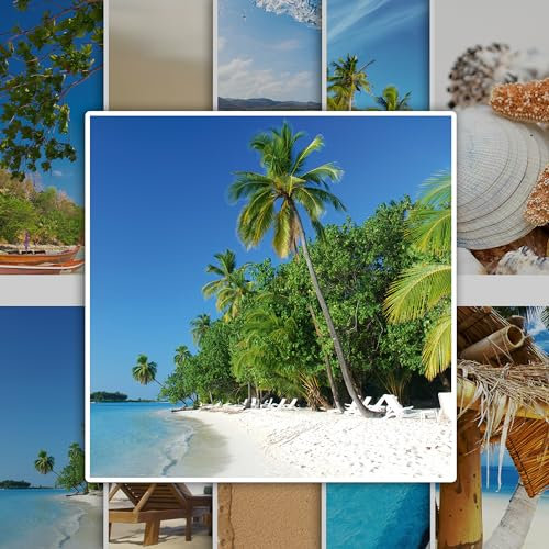 GRAZDesign Fliesenaufkleber Bad & Küche Strand Muscheln Meer Fliesenbilder Klebefliesen selbstklebend (10 Stück, 15x15cm)