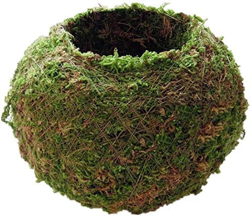 Mooskugel-Blumentopf, natürlicher Pflanzgefäß, Bonsai-Pflanzenhalter, Vogelnest, für Heimwerker, Garten, Zuhause, Tischdekoration, 12 cm
