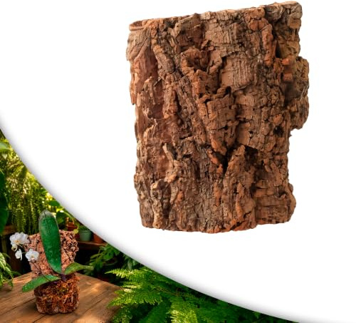 ZOMA Zattera per Orchidee, Sughero per Terrario, Corteccia per Orchidee, Epifite Tillandsia e Felci, Corteccia di Sughero per Presepe (M)
