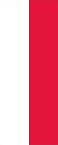 flaggenmeer® Flagge Thüringen 110 g/m² ca. 400 x 150 cm mit Hohlsaum für Ausleger