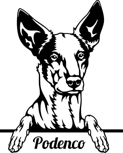 Autoaufkleber/Sticker/für Innen und Außen 28 cm schwarz Windhund Podenco 01