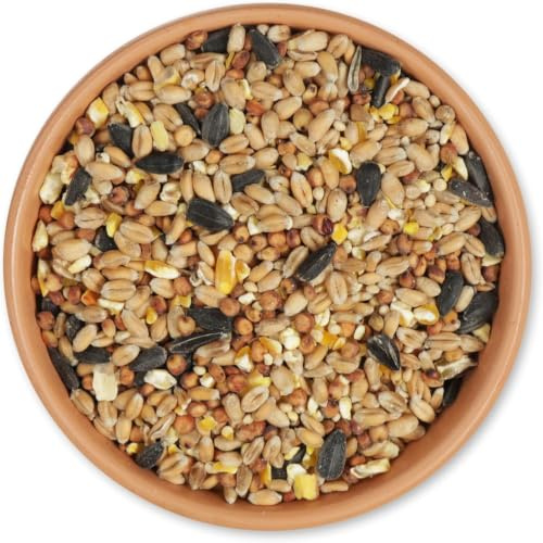 Gifts4Nature Streufutter für Wildvögel 5kg – Vogelfutter Wildvögel Ganzjährig – Saatmischung ohne Zusatzstoffe – Wildvogelfutter Ganzjahresfutter für Gartenvögel - Bird Food