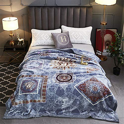 YCDZ Bedding Flannel Blanket, Flannel Fleece Soft Blanket, for Cushion/sofa/chair/sofa-lightweight, Warm and Comfortable, Flannel Wool Velvet Soft Large Blanket. (Silver)