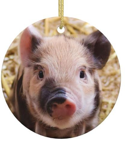 LAMAME Nette Schwein gedruckt rund geformt Anhänger Weihnachtsbaum Keramik Dekoration Weihnachtsschmuck