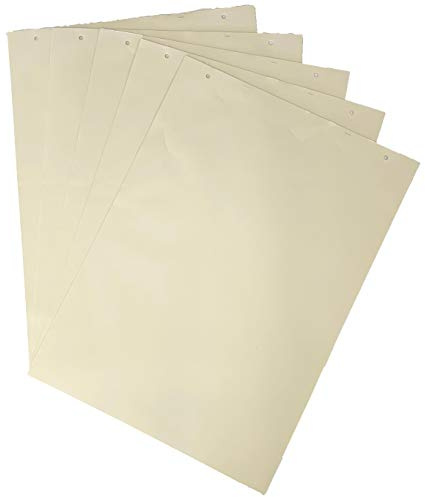 Flip Chart Pads A1 40 Leaves Blank Pack of 5