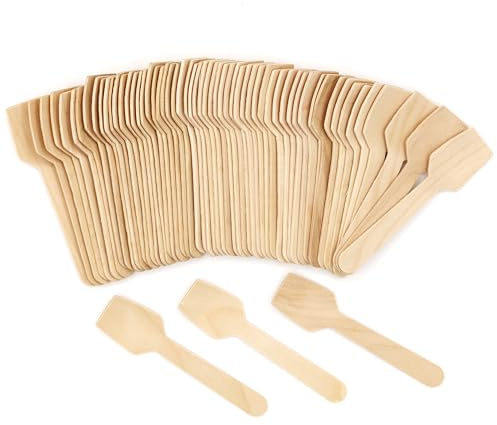 TANGTEA 200 PCS Wooden Ice Cream Spoons, 3.8 Inch Mini Tasting Spoons