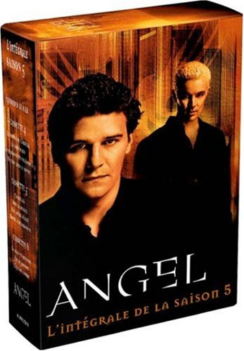 Angel : Saison 5 - Coffret 6 DVD [FR Import]