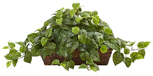 Nearly Natural 34in Artificial Pothos Ivy Plant with Ledge Basket Faux Trailing Cascading Greenery for Indoor Home Decor