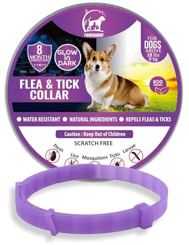 Dog Repellent Treatment, Single Pack Repellent Collar, Adjustable for Small Medium Large Dogs, Natural Waterproof Design (Single Pack Purple)