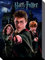 Harry Potter 1art1 Poster Harry Ron Hermine Bilder Leinwand-Bild Auf Keilrahmen | XXL-Wandbild Poster Kunstdruck Als Leinwandbild 80x60 cm