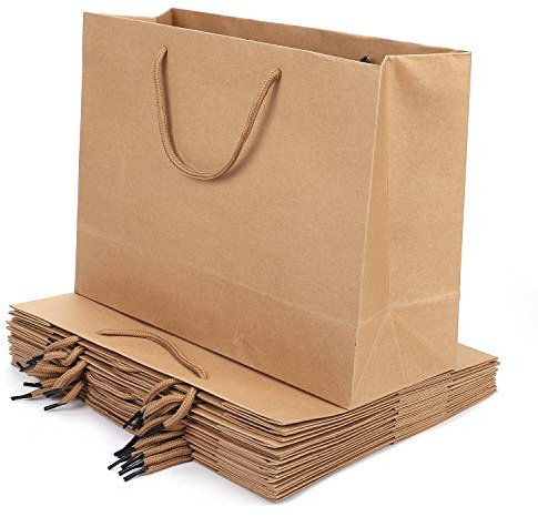 Qchomee 10 x Paper Carrier Bags Large Kraft Gift Bags Party Bags with Handle Reusable Bag Present Treat Bags Tote Bag for Birthday, Wedding, Christmas Party, Shopping, Baby Shower, Bridal Shower