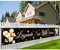 50. Geburtstag Banner, Legende Seit 50 Jahren Glitzerbanner, deko 50 geburtstag Lange Banner für Männer und Frauen 50. Geburtstagsfeier Party, 300 * 50cm (Rosegold)