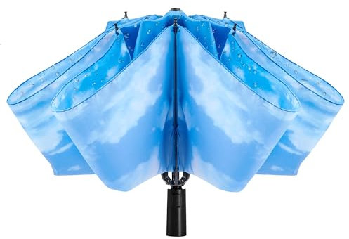 ACEIken Sturmfester Automatik Regenschirm - Kompakter,Faltbarer Taschenschirm für Herren und Damen,8 Rippen,Wasserdicht und Winddicht,Ideal für Reisen und Alltag,106/116 cm Spannweite