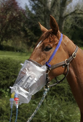 TOP- MASK - GREEN PEX