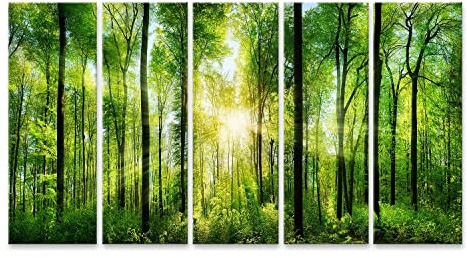 islandburner Bild auf Leinwand Malerischer Wald Grüne Laubbäume Bilder Wandbilder Poster