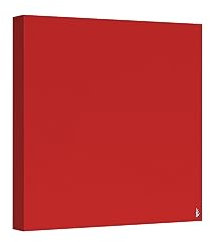 Addictive Sound Akustikpaneele Premium - Akustikplatten und Schallabsorber - Acoustic Panel und Absorber - Akustikpaneel mit den Maßen 50x50x6 cm - Akustikelemente - Tabasco