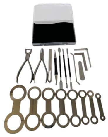 LRXFPIYF 19x Saxophon-Reparatur-Werkzeug-Set, Federstift-Entfernungszange, Nivellierungs-Reparatur-Werkzeuge, Saxophon-Reparatur-Set