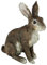 Colourliving Dekofigur Hase Rammler Theo Kaninchen lebensecht Osterhase Garten Deko Dekoration