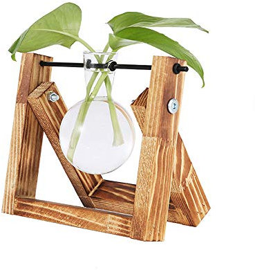 Terrario Abierto de sobremesa para Plantas de Interior, con Recipiente de con Forma de Bulbo, Soporte de Madera Maciza Envejecida y Varilla de Metal giratoria. Terrario Abierto para Cultivo