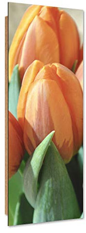 Feeby Wanddeko abstrakt Bild Kunstdruck modern Tulpen Orange 30x90 cm