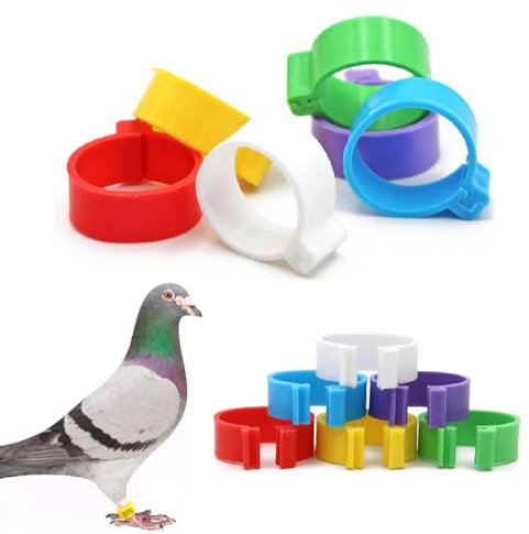 JTKREW 100pcs Hühnchen Identifikation Beine Ringe, 5 Farben 16mm Chicken Tags für Legs Geflügel Bands Clip On Leg Rings für Hühner, Enten, Hühnchen, Goose