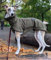 EDEL&SCHNELL Hundemantel mittelgroße Hunde 55 bis 60 cm luxuriöse Hundejacke in grün mit Bauchschutz Windhund Wintermantel wärmend mit Wildleder und weichem Kunstfell