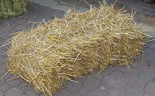 Agricoltura Paglia di Grano tenero da Usare Come Alimento o per la Lettiera degli Animali in Balle da Circa 10 kg