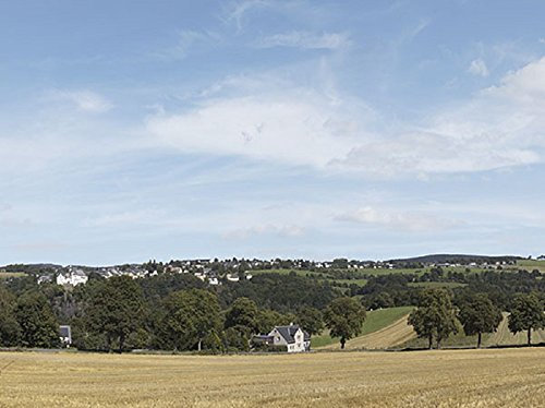 Auhagen 42513 Hintergrund Erzgebirge 1, H0/TT/N bunt
