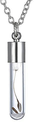 Pendentif bouteille en verre avec pissenlit naturel et chaîne de 60 cm