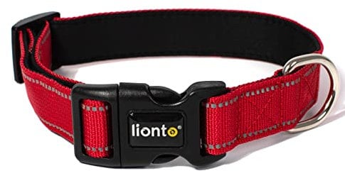lionto Hundehalsband aus strapazierfähigem Nylon, Größe XL, weiches gepolstertes Halsband für Hunde, 360° reflektierend & Klickverschluss, Metallring & Anpassung durch stufenlosen Schieber, rot