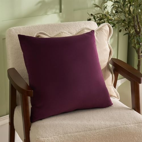 Sienna Matte Velvet Cushion Covers 45 x 45cm, Super Soft Decorative Throw Pillow Covers with Invisible Zipper Square Pillow Cases 2 Pack for Sofa Living Room Bedroom, Burgundy
