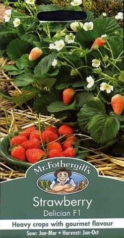 Mr Fothergills - Pictorial Packet - Fruit - Strawberry Delician F1 Seeds