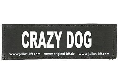 Julius-K9 162LR-K-35503 Klettaufschrift, Crazy Dog, klein, schwarz