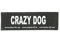 Julius-K9 162LR-K-35503 Klettaufschrift, CRAZY DOG, klein, schwarz