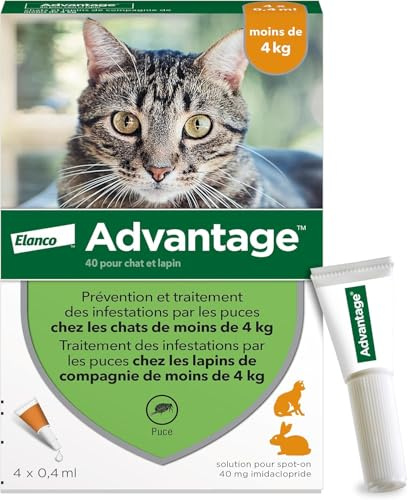 Advantage Chat & Lapin de moins de 4 kg – Pipettes anti puces chat pour prévention des infestations – Traitement anti puces lapin pour une protection en continu pendant 3 à 4 semaines – 4 x 0,4 ml
